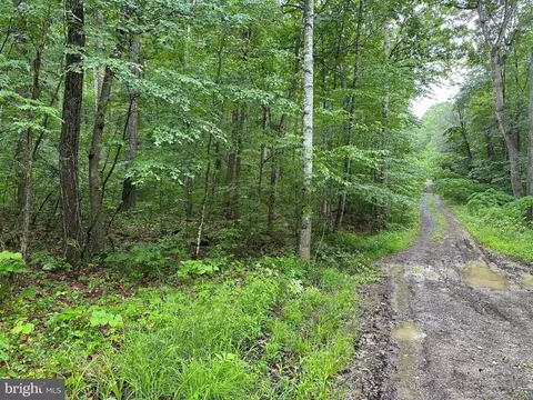 Tbd Forest Drive, New Market, VA 22844