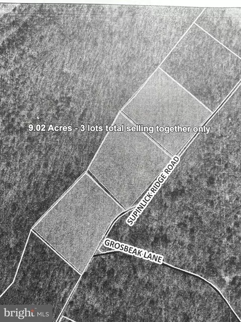 6 Supinlick Ridge Road, Mount Jackson, VA 22842