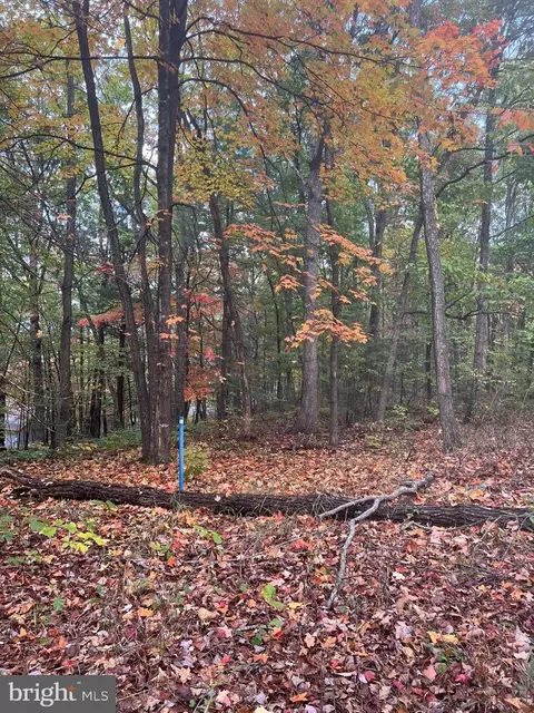 Supinlick Ridge, Mount Jackson, VA 22842