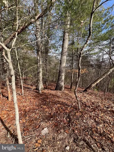 0 Cottonwood Rd, Mount Jackson, VA 22842