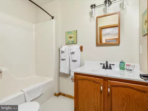 Bath - 377 Anderson Rd, Basye, VA 22810 photo 4 of 4