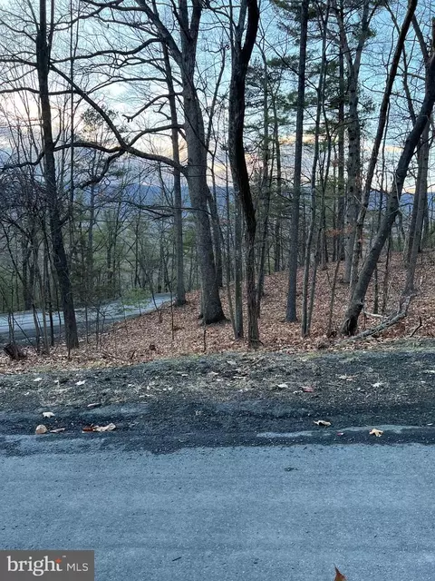 Pheasant, Basye, VA 22810