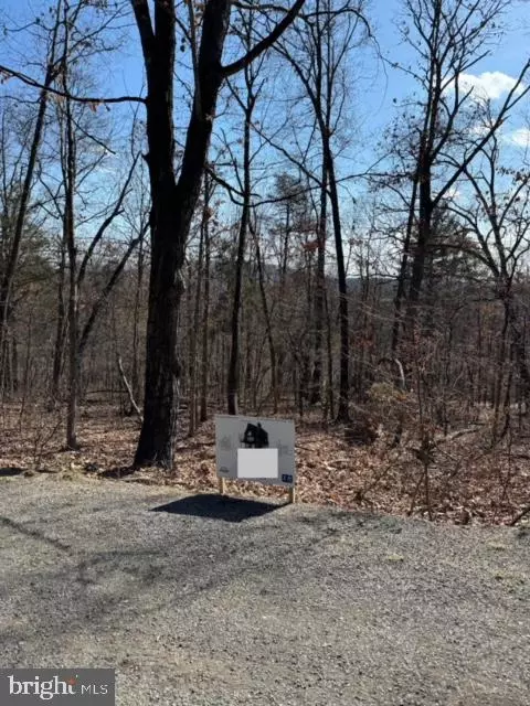 Locust Lane, Edinburg, VA 22824