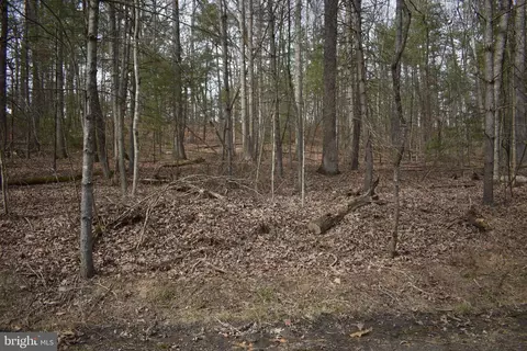 Crabapple Rd, Mount Jackson, VA 22842