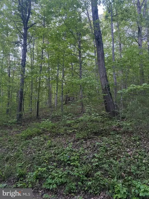 tbd Crooked Run Rd, Basye, VA 22810