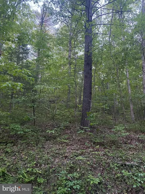 tbd Crooked Run Rd, Basye, VA 22810 photo 2