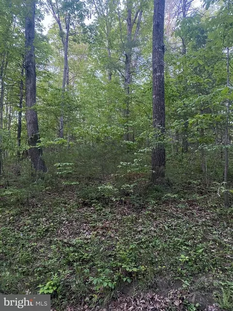 tbd Crooked Run Rd, Basye, VA 22810 photo 3