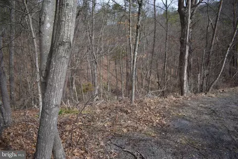 Nicklaus Dr, Basye, VA 22810 photo 6