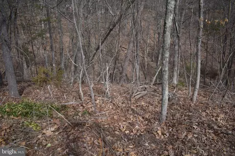 Nicklaus Dr, Basye, VA 22810