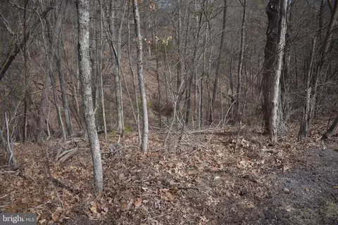Nicklaus Dr, Basye, VA 22810 photo 5