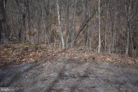 Nicklaus Dr, Basye, VA 22810 photo 3