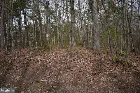 Beech Rd, Mount Jackson, VA 22842 photo 6