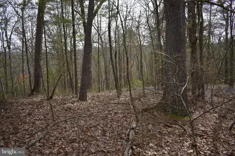 Beech Rd, Mount Jackson, VA 22842