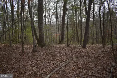 Beech Rd, Mount Jackson, VA 22842 photo 2