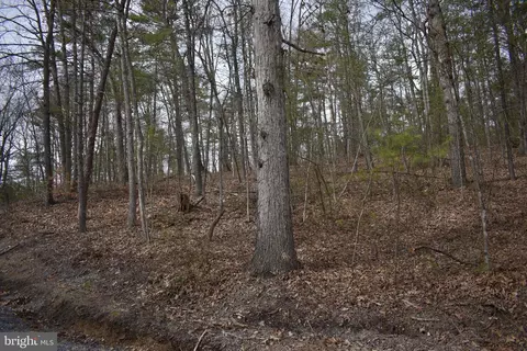 Beech Rd, Mount Jackson, VA 22842 photo 9