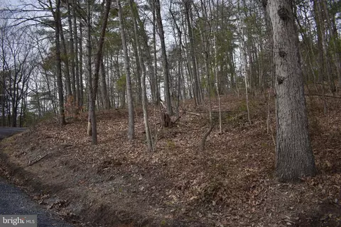 Beech Rd, Mount Jackson, VA 22842 photo 8