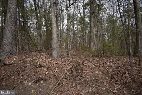 Beech Rd, Mount Jackson, VA 22842 photo 5