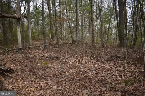 Beech Rd, Mount Jackson, VA 22842 photo 3