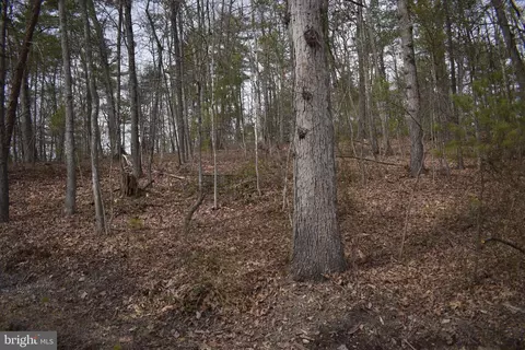 Beech Rd, Mount Jackson, VA 22842 photo 7