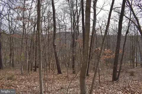 Tdb Mulberry Ln, Mount Jackson, VA 22842