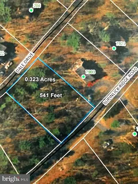 Supinlick Ridge, Basye, VA 22810