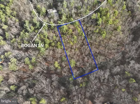 0 Bogan Ln, Mount Jackson, VA 22842
