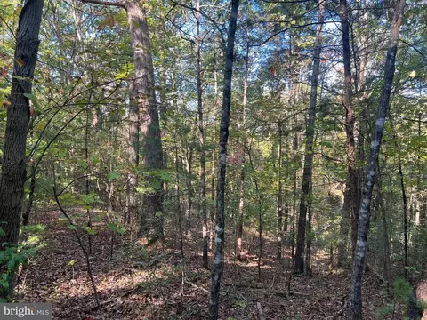0 Beaver Rd, Basye, VA 22810 photo 2