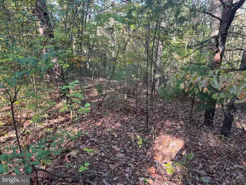 0 Beaver Rd, Basye, VA 22810 photo 5
