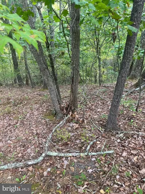 0 Beaver Rd, Basye, VA 22810 photo 4