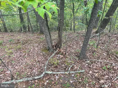 0 Beaver Rd, Basye, VA 22810 photo 3