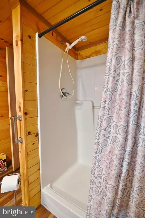 3715 Orkney Grade Grade, Mount Jackson, VA 22842 photo 13