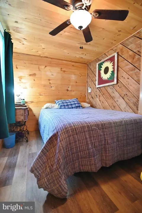 3715 Orkney Grade Grade, Mount Jackson, VA 22842 photo 15