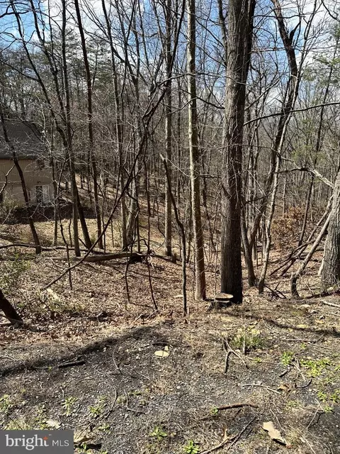 lot45 Deloris, Basye, VA 22810