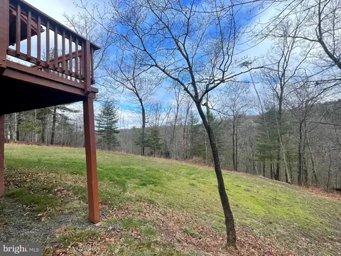 47 Red Fox Run, Mount Jackson, VA 22842 photo 8