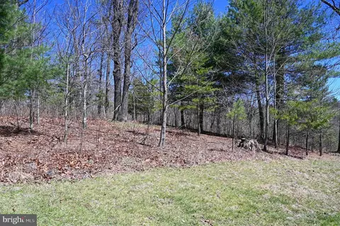 47 Red Fox Run, Mount Jackson, VA 22842 photo 31