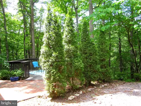 155 Beech, Mount Jackson, VA 22842 photo 29