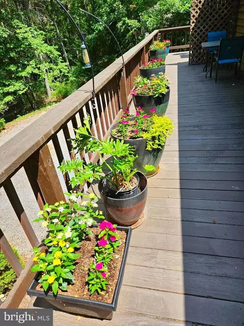 155 Beech, Mount Jackson, VA 22842 photo 31