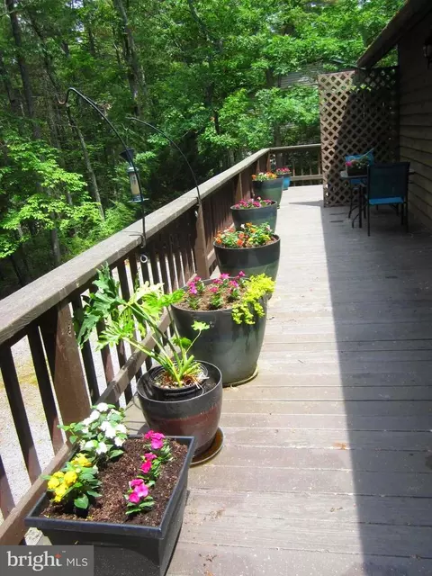 155 Beech, Mount Jackson, VA 22842 photo 26