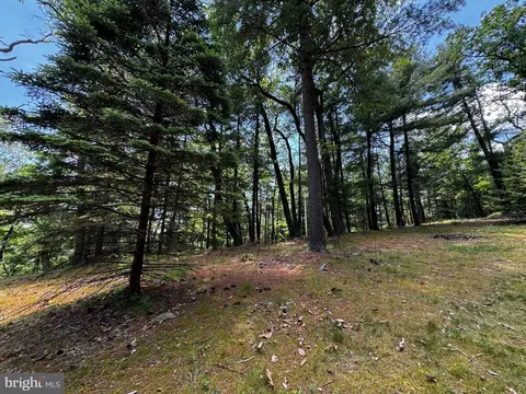 393 S Maple Rd, Mount Jackson, VA 22842 photo 15