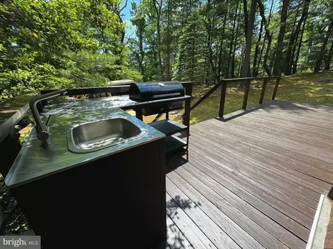 393 S Maple Rd, Mount Jackson, VA 22842 photo 6