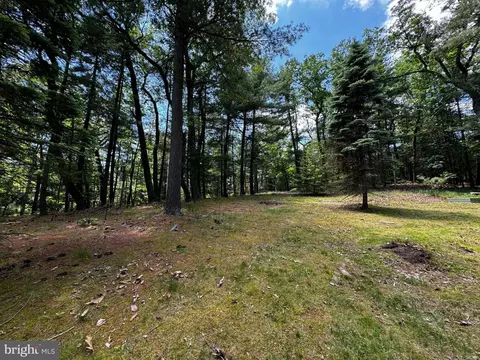 393 S Maple Rd, Mount Jackson, VA 22842 photo 16