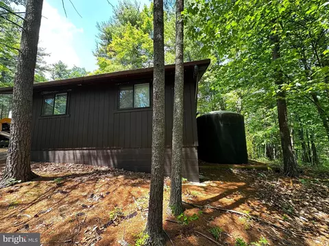 393 S Maple Rd, Mount Jackson, VA 22842 photo 21