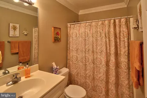 36 Ewells Ridge Rd, Basye, VA 22810 photo 38