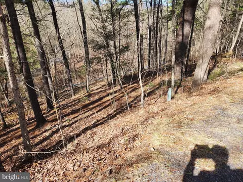 Polk, Basye, VA 22810