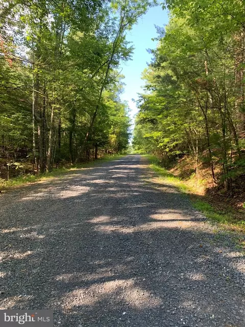 Patrick Lane, Mount Jackson, VA 22842