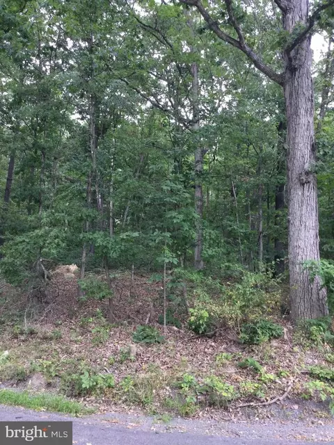 0 Locust Ln, Mount Jackson, VA 22842 photo 2