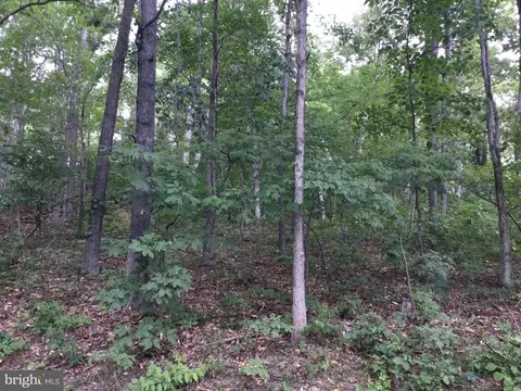 0 Locust Ln, Mount Jackson, VA 22842 photo 3