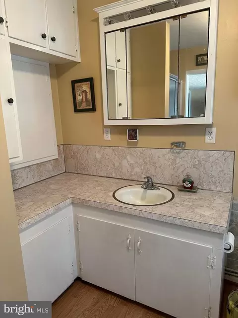 Bath - 629 Kelly Rd, Mount Jackson, VA 22842 photo 5 of 5
