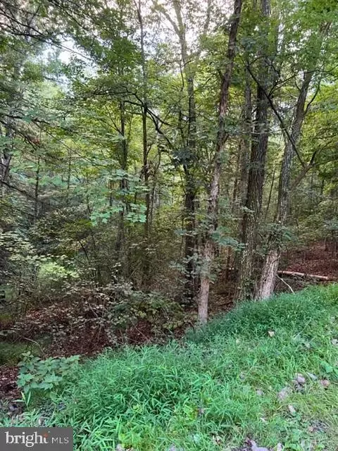 Willow Lot 183, Mount Jackson, VA 22842 photo 4