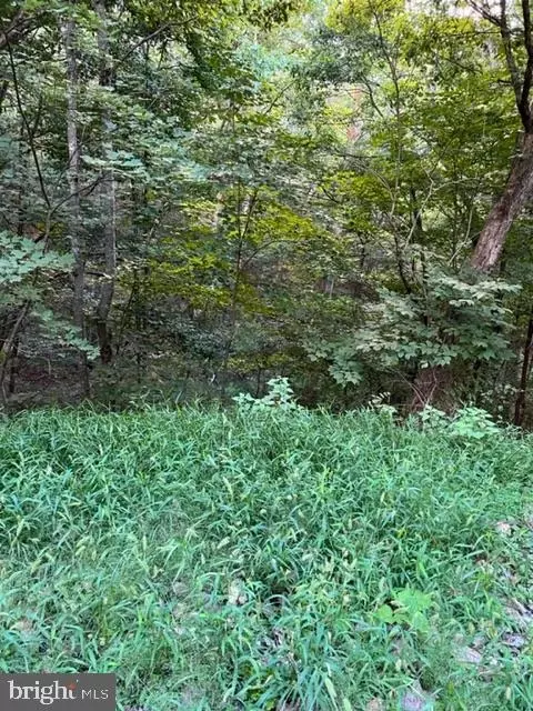 Willow Lot 183, Mount Jackson, VA 22842 photo 3
